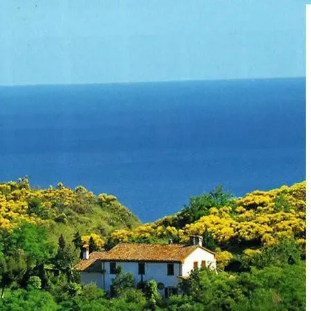 Apartamento With 2 Bedrooms In With Balcony And Wifi 18 Km From The Beach *