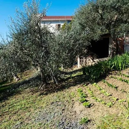 With 2 Bedrooms In With Balcony And Wifi 18 Km From The Beach