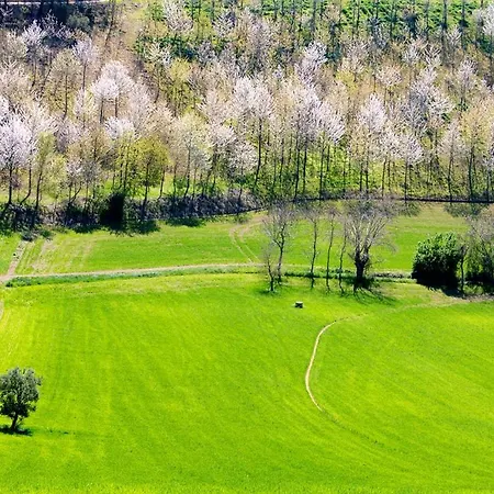 With 2 Bedrooms In With Balcony And Wifi 18 Km From The Beach Monte San Pietrangeli